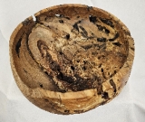 Spalted, Worm-holed, Maple Bowl (8-1/2 Spalted, Worm-holed, Maple Bowl (8-1/2