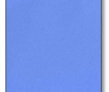 Cornflower